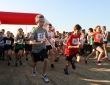 img_6754-copy
