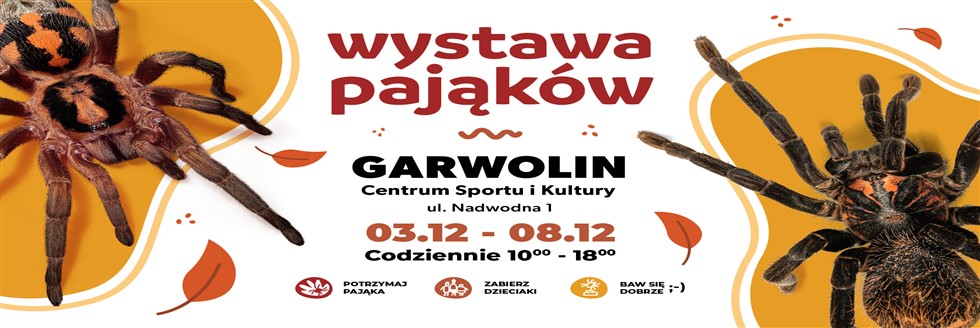 Wystawa PAJĄKÓW w CSIK Garwolin